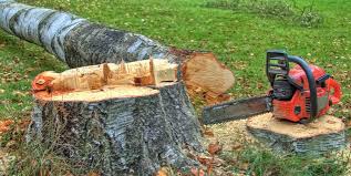 Redwood, TX Tree Care Company