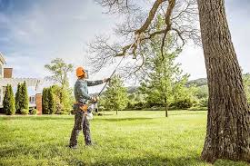 Lawn Renovation and Restoration in Redwood, TX