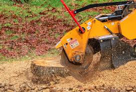 How Our Tree Care Process Works  in  Redwood, TX